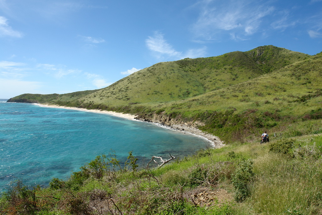     (Jacks and Isaacs Bays) - - (St. Croix).